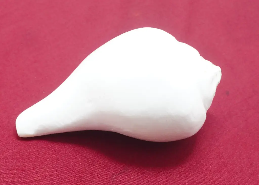 Jal Shankha 90-1No Pancha