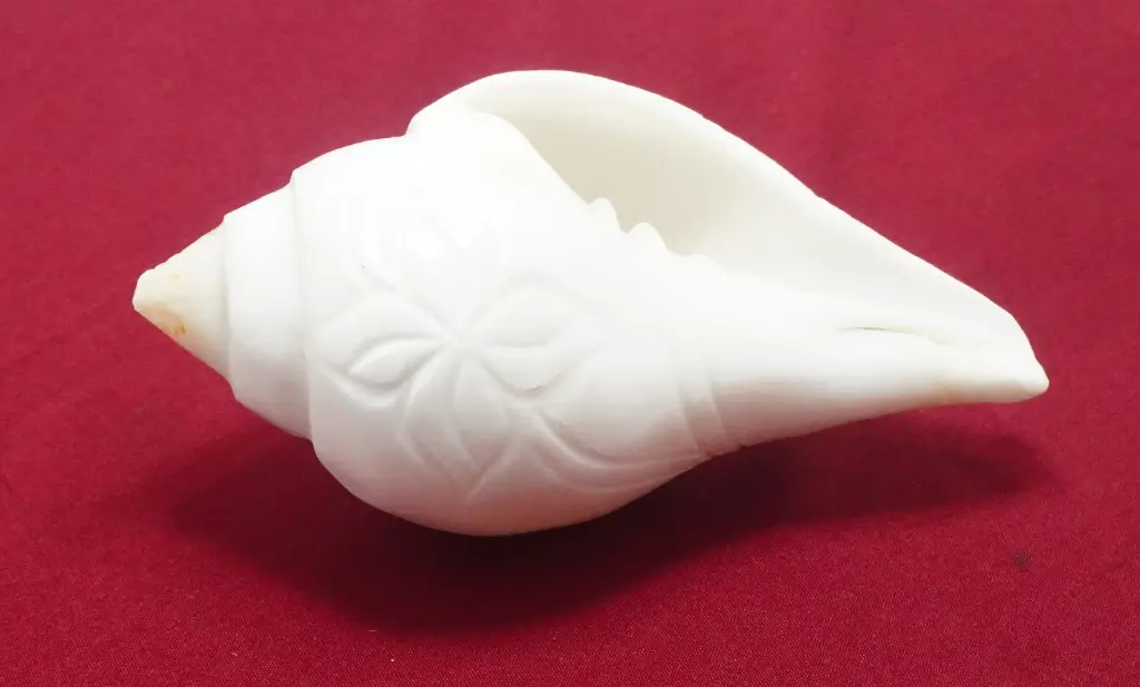 Jal Shankha Carving 150