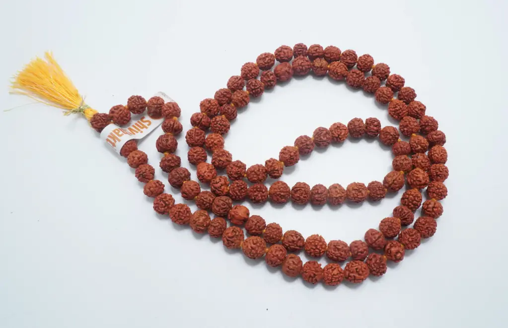 [T01117] Real Rudrakash Mala 4 No 150