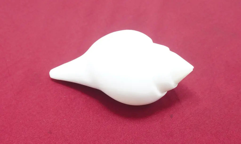 Jal Shankha 100-2No Pancha