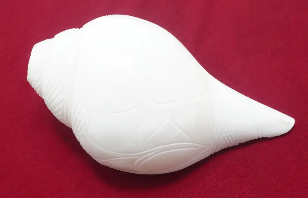  Vaishnav Shankha Carving 1000