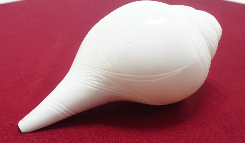  Vaishnav Shankha Carving 1400