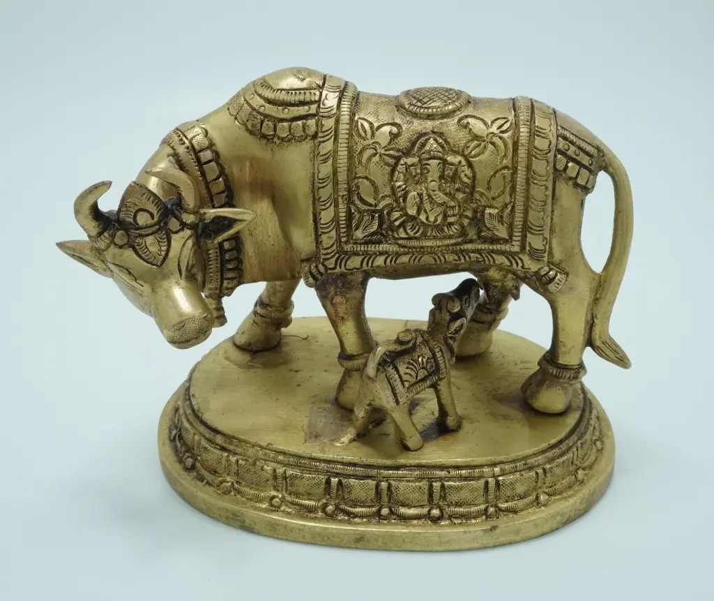 Gaay vasru Mana 5500