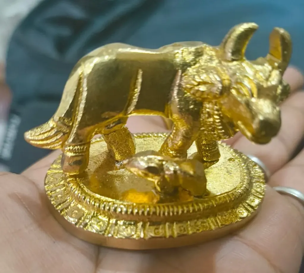 Gaay Vasaru 300 Round 100g Mana