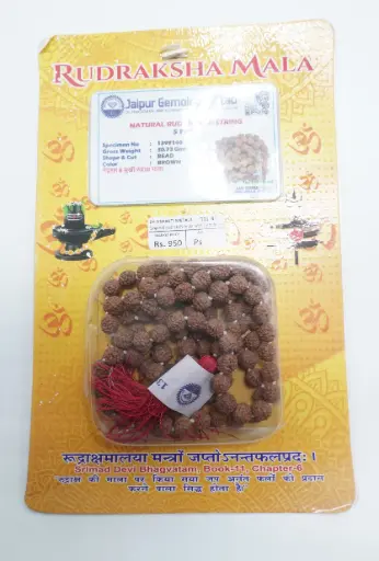 [T01742] Rudraksh mala with Certificate 550