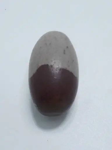 [T02436] Narmadeshwar Double 1.5 Inch 100